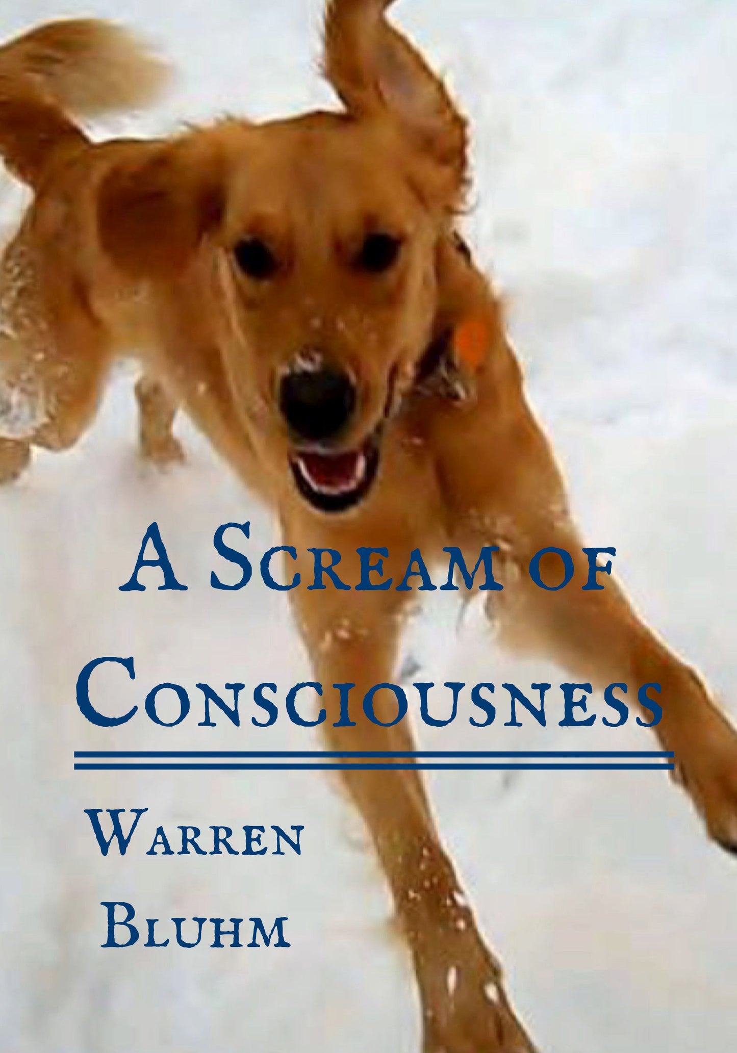 A Scream of Consciousness (ebook)