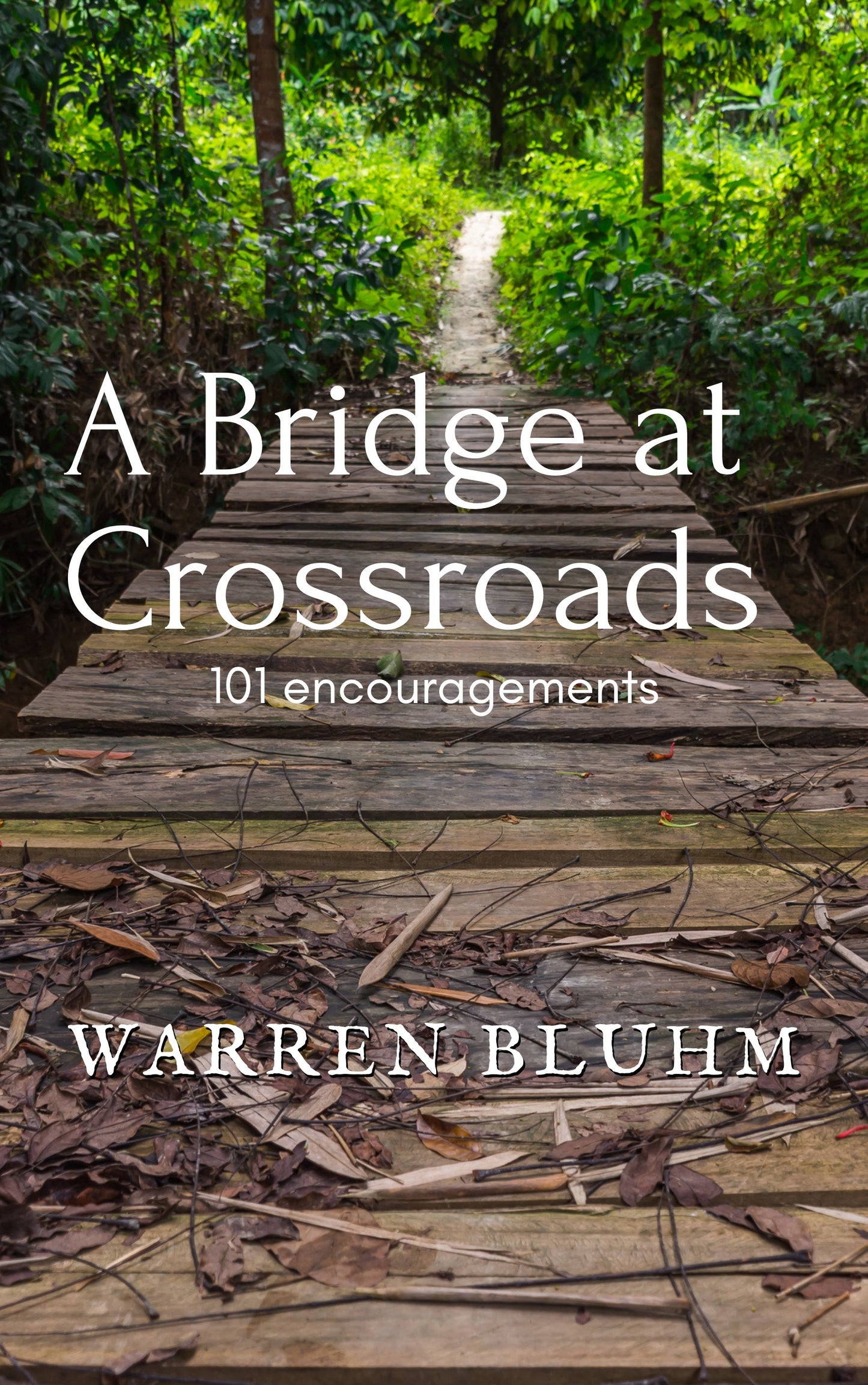 A Bridge at Crossroads (ebook)