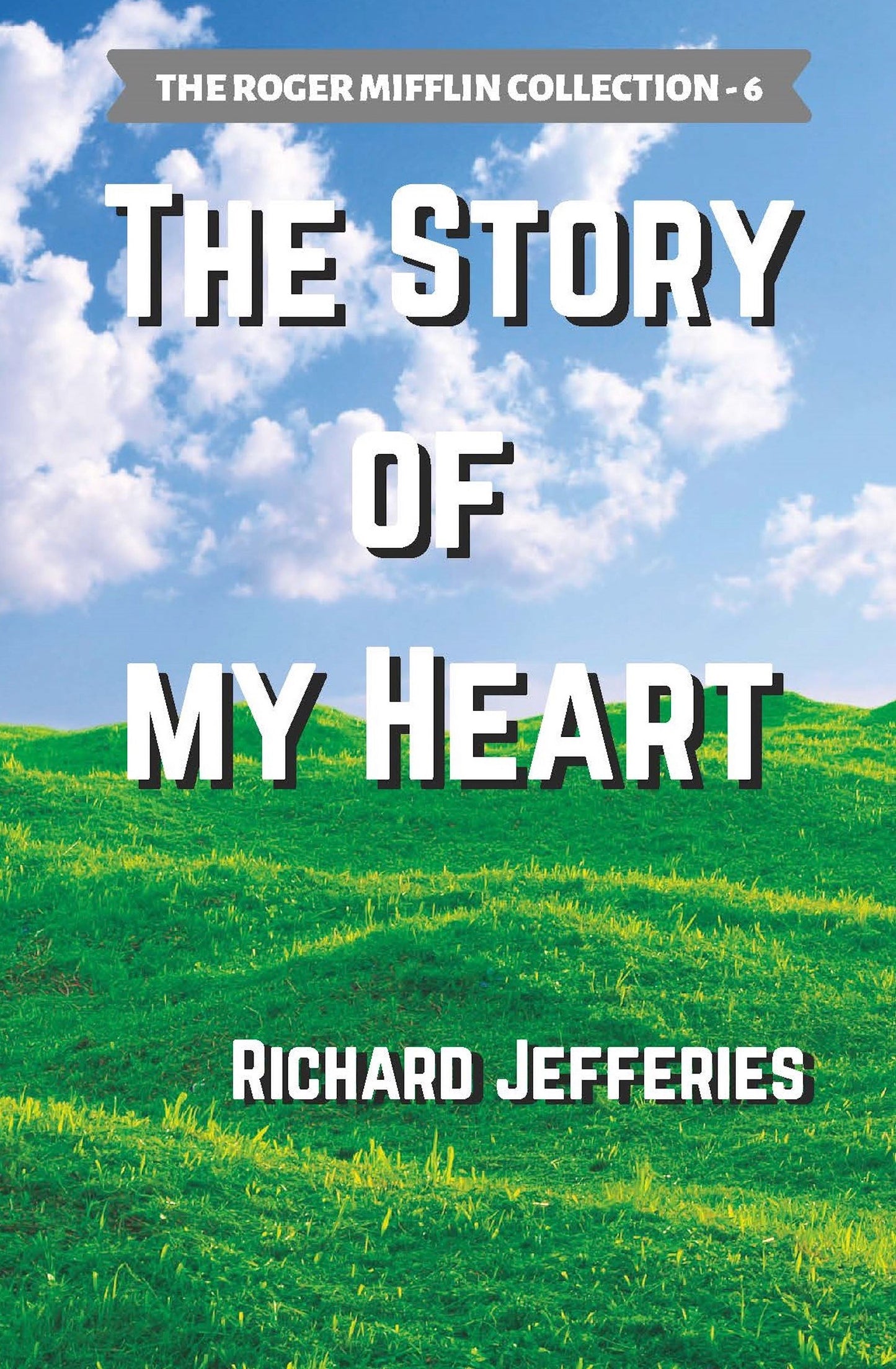 The Story of My Heart (ebook)